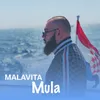 Mula