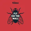 About Fly on the Wall Song