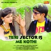 About Teri Sector 15 Me Kothi Song