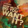 About How Much Do You Want It? Song