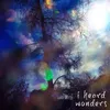 About I Heard Wonders Song