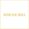 About Wish You Well Song