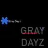 Gray Dayz