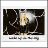 About Wake up in the Sky Song