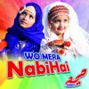 About Wo Mera Nabi Hai Song