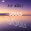 About Souls Song
