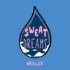 About Sweat Dreams Song