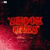 About Shook Ones Song