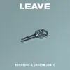 About Leave Song