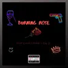 About Burning Rose Song