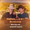 About Amarillo By Morning (Entre a Serpente e a Estrela) Song