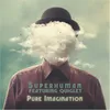 About Pure Imagination Song