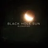 Black Hole Sun