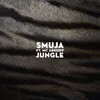 About Jungle Song