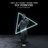 About Fly Forever Song