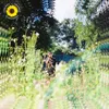 About Sunflower Song