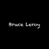 Bruce Leroy