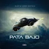 About Pata Bajo Song