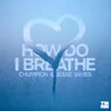 About How Do I Breathe Song