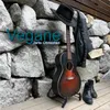 About Vegane Song