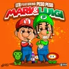 About Mario & Luigi Song