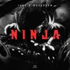 About Ninja Song