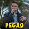 About Pegao Song