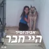 About היי חבר Song