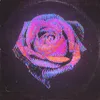 About Rose Song