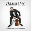 Concerto for Viola in G Major, G. P. Telemann, I. Largo - Jhonatan Santos - Twv 51-g9