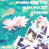 About Wanna Keep You in My Pocket Forever Song