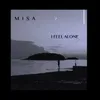 About I Feel Alone Song
