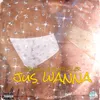 About Jus Wanna Song