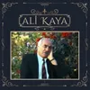 About Malatya'nın Kavakları Song