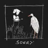 About Sorry Song