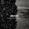 Brucin