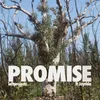 About Promise Song