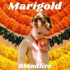 About Marigold Song