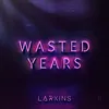 About Wasted Years Song