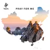 About Pray for Me Song