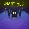 About Want You Song