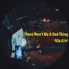 About There Won't Be a Sad Thing Song