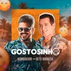 About Gostosinho Song