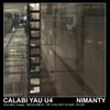 Calabi Yau U4