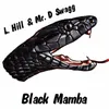 About Black Mamba Song