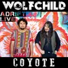 Coyote (Adrift)