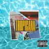 About Tropicana Song