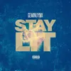 About Stay Lit Song