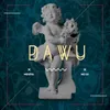 About Dawu Song