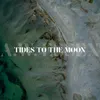 Tides to the Moon